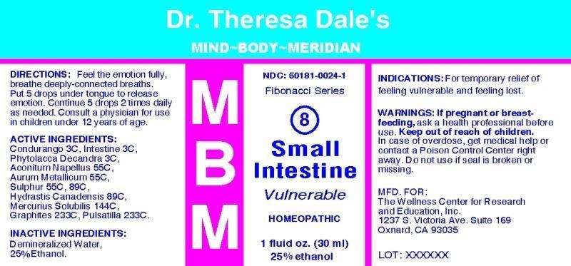 MBM 8 Small Intestine